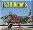 il-28 Beagle